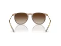 Ray-Ban Erika Lunettes de Soleil RB 4171 674413