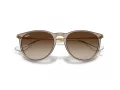 Ray-Ban Erika Lunettes de Soleil RB 4171 674413
