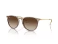 Ray-Ban Erika Lunettes de Soleil RB 4171 674413