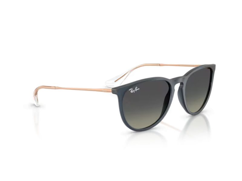 Ray-Ban Erika Lunettes de Soleil RB 4171 681311