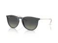 Ray-Ban Erika Lunettes de Soleil RB 4171 681311