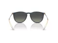 Ray-Ban Erika Lunettes de Soleil RB 4171 681311