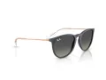 Ray-Ban Erika Lunettes de Soleil RB 4171 681311