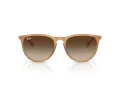 Ray-Ban Erika Lunettes de Soleil RB 4171 681413