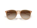 Ray-Ban Erika Lunettes de Soleil RB 4171 681413