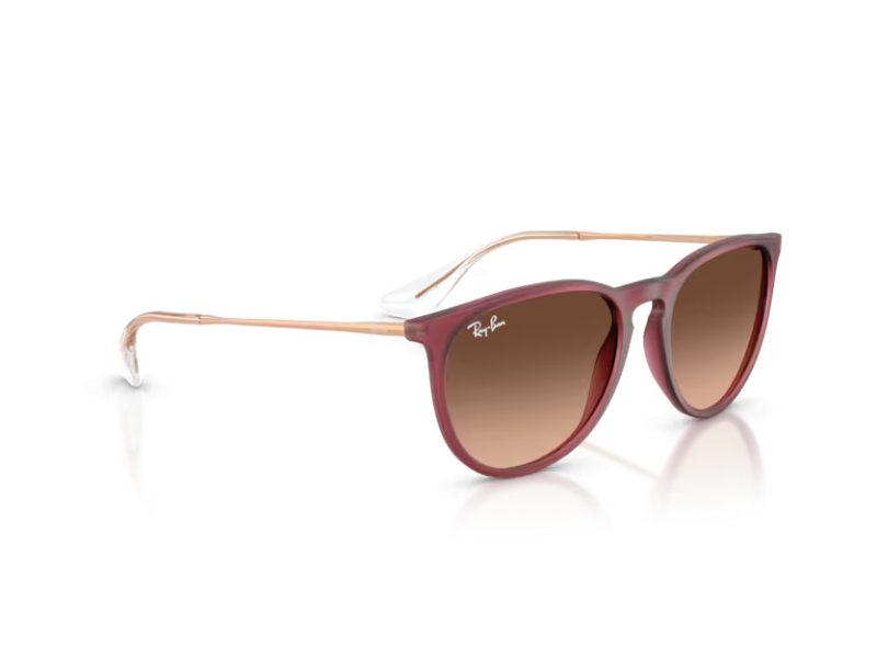 Ray-Ban Erika Lunettes de Soleil RB 4171 6815A5