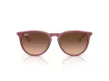 Ray-Ban Erika Lunettes de Soleil RB 4171 6815A5