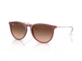 Ray-Ban Erika Lunettes de Soleil RB 4171 6815A5