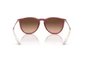 Ray-Ban Erika Lunettes de Soleil RB 4171 6815A5