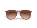 Ray-Ban Erika Lunettes de Soleil RB 4171 6815A5