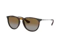 Ray-Ban Erika Lunettes de Soleil 4171 710/T5