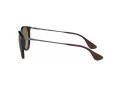 Ray-Ban Erika Lunettes de Soleil 4171 710/T5