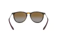 Ray-Ban Erika Lunettes de Soleil 4171 710/T5