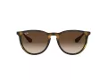 Ray-Ban Erika Lunettes de Soleil RB 4171 865/13