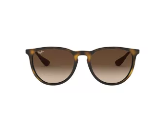 Ray-Ban Erika Lunettes de Soleil RB 4171 865/13