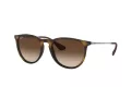Ray-Ban Erika Lunettes de Soleil RB 4171 865/13