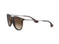 Ray-Ban Erika Lunettes de Soleil RB 4171 865/13