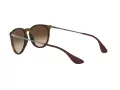 Ray-Ban Erika Lunettes de Soleil RB 4171 865/13