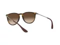 Ray-Ban Erika Lunettes de Soleil RB 4171 865/13