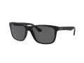 Ray-Ban Rb4181 Lunettes de Soleil RB 4181 601/87
