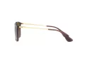 Ray-Ban Chris Lunettes de Soleil RB 4187 6593/T5