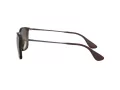 Ray-Ban Chris Lunettes de Soleil RB 4187 856/13