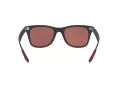Ray-Ban Ferrari Lunettes de Soleil RB 4195M F602/H2