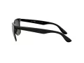 Ray-Ban Wayfarer Liteforce Lunettes de Soleil RB 4195 601/71