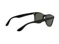 Ray-Ban Wayfarer Liteforce Lunettes de Soleil RB 4195 601/71