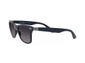 Ray-Ban Wayfarer Liteforce Lunettes de Soleil RB 4195 6331/8G
