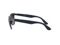 Ray-Ban Wayfarer Liteforce Lunettes de Soleil RB 4195 6331/8G