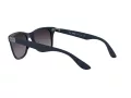 Ray-Ban Wayfarer Liteforce Lunettes de Soleil RB 4195 6331/8G