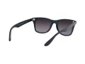 Ray-Ban Wayfarer Liteforce Lunettes de Soleil RB 4195 6331/8G
