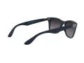 Ray-Ban Wayfarer Liteforce Lunettes de Soleil RB 4195 6331/8G