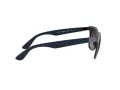 Ray-Ban Wayfarer Liteforce Lunettes de Soleil RB 4195 6331/8G