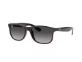 Ray-Ban Andy Lunettes de Soleil RB 4202 601/8G