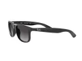 Ray-Ban Andy Lunettes de Soleil RB 4202 601/8G