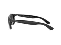 Ray-Ban Andy Lunettes de Soleil RB 4202 601/8G