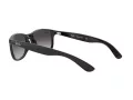 Ray-Ban Andy Lunettes de Soleil RB 4202 601/8G
