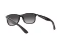 Ray-Ban Andy Lunettes de Soleil RB 4202 601/8G