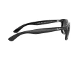 Ray-Ban Andy Lunettes de Soleil RB 4202 601/8G