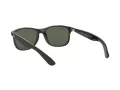 Ray-Ban Andy Lunettes de Soleil RB 4202 6069/71