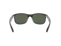 Ray-Ban Andy Lunettes de Soleil RB 4202 6069/71