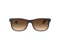 Ray-Ban Andy Lunettes de Soleil RB 4202 6073/13