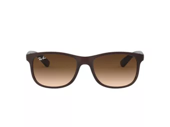 Ray-Ban Andy Lunettes de Soleil RB 4202 6073/13