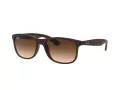 Ray-Ban Andy Lunettes de Soleil RB 4202 6073/13