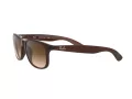 Ray-Ban Andy Lunettes de Soleil RB 4202 6073/13