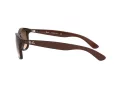 Ray-Ban Andy Lunettes de Soleil RB 4202 6073/13