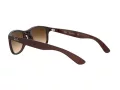 Ray-Ban Andy Lunettes de Soleil RB 4202 6073/13