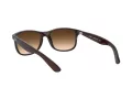 Ray-Ban Andy Lunettes de Soleil RB 4202 6073/13